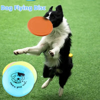 Interactive Flying Disc Toy for Dogs  – Fun, Durable & Chew-Resistant